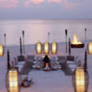 Meet your Posher, Suzanne